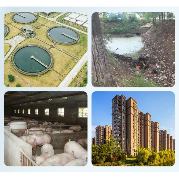 Carbon Steel Buried MBR Comprehensive Sewage Treatment Equipment Hospital Domestic 10m3/H