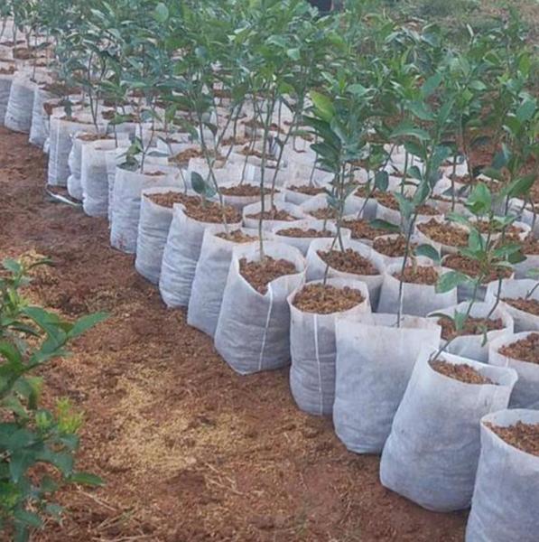 Packaging Fabric Nonwoven Mat Agricultural Non-woven Fabric Polyester Nonwoven Mat