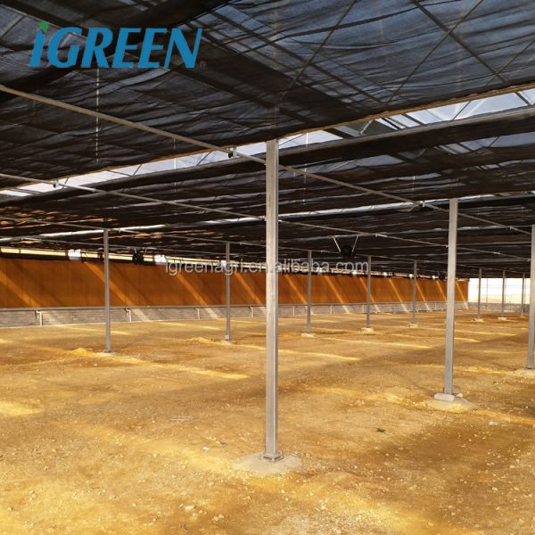 150 микронов многотунельная тепличная пластиковая пленка для растений