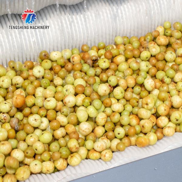 Batata elétrica comercial Peeler da escova da cenoura, máquina do raspador da batata doce