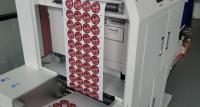 Impressora a laser Multi-Colour Printing Press da etiqueta de Digitas 30FT pelo minuto