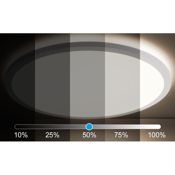 24w Tuya Smart Ceiling Light Colorful Rgb Remote Control Led Modern Music