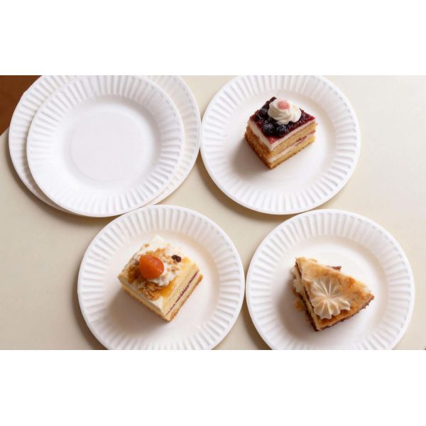 Biodegradable Disposable Paper Plates Ecofriendly Heavy Duty Round Design Suitable Catering Events Parties Picnics and Outdoor