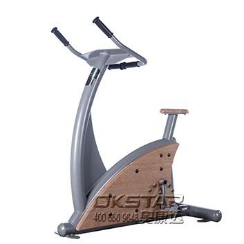 outdoor wooden fitness equipment--WPC body strong fitness equipment outdoor gym exercise bike