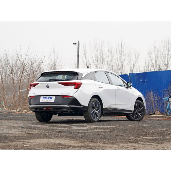 2022 Velite 6 EV Fashion Plus Edition Coupe Closed Body Type 5 Seats Competitive