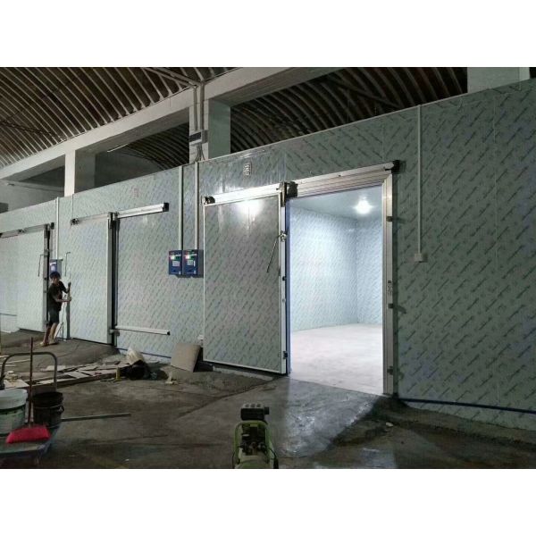 Прогулка панели ПУ вентиляторной системы охлаждения в холодных комнатах на хранение еды гарантия 1 года