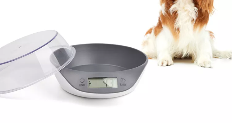 Promote Healthy Eating with Our Round Slow Feeder Pet Bowl Weight Measuring Function Included