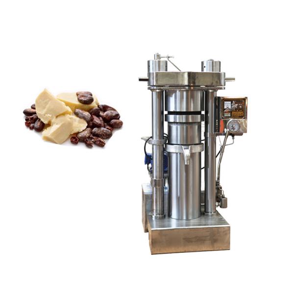 380V Voltage Industrial Oil Press Machine Cold / Hot Pressing 590 Kg Weight