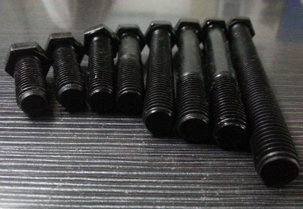 Six Hexagon Head Stainless Steel Tap Bolts , High Strength Stainless Steel Bolts