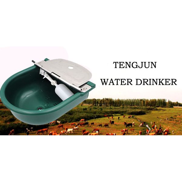 Impact Resistant Plastic Float Water Bowl With Stainless Steel Covering