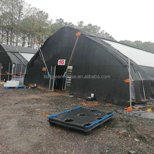 Large Height 3-10m Polytunnel Greenhouse The Ideal Growing Environment for Your Crops