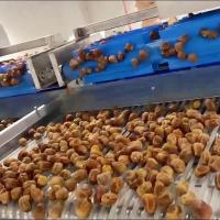 Advanced Computer Control, High-capacity online Dates Sorting machine, Deep-learning+AI 6-Lane, High Precision & Defect Detection, cCustomizable