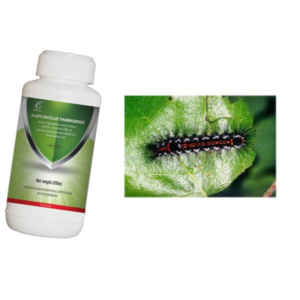 ODM Natural Tea Plant Biological Insecticides Spray EoNPV Nuclear Polyhedrosis Virus