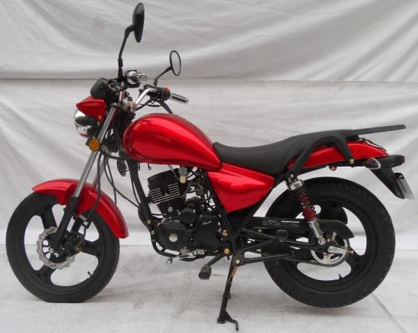 GR MOTOR Dirt Road Bike Front Disc Brakes , Adult Dirt Bike Gasoline Fuel