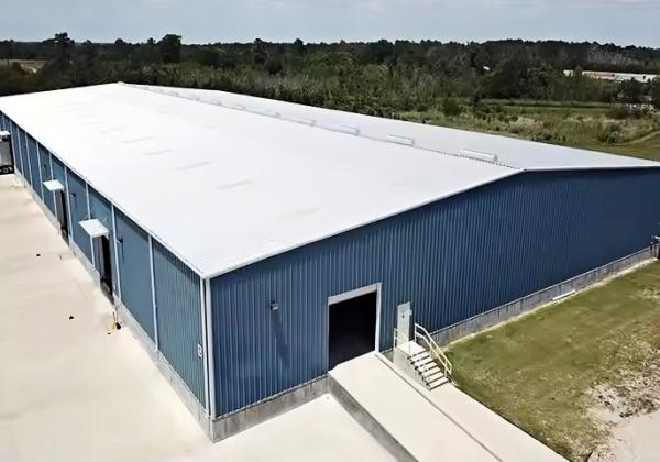 Construcción de estructura de acero prefabricada para taller de vegetales, estructura de acero para oficina, construcción de villa