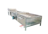 Machine à laver de tambour du légume fruit 500kg/H