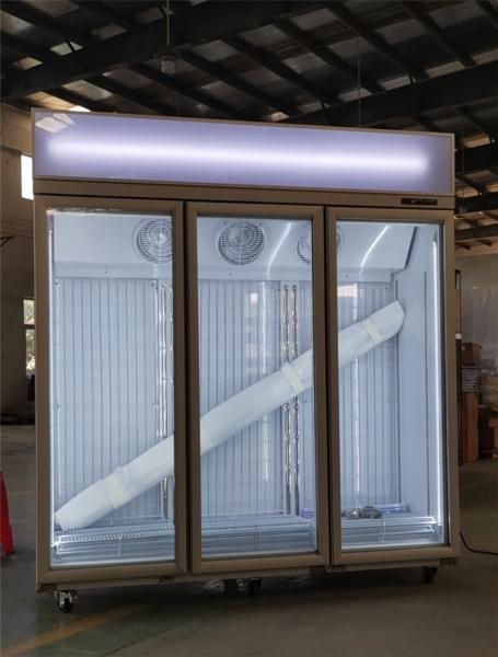 Upright Freezer Philippines / Malaysia Used Commercial Ice Cream Display Freezers