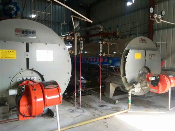 Quick Assembly Natural Gas LPG Heavy Oil Bunker C 2# 6# Diesel Fired Steam Boiler For Food Industry
