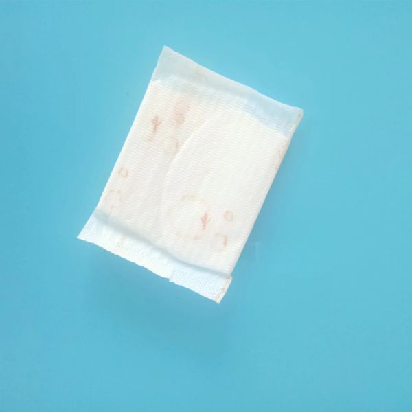 Certificado ISO9001 CE Anión de hierbas personalizadas para mujeres 2022 Panty Liner de incontinencia