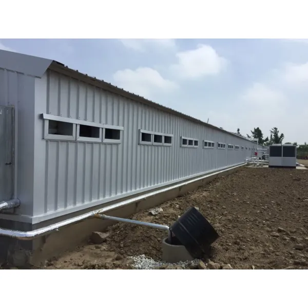 CE Livestock Farm House Steel Structure Chicken House And Equipment For Chicken