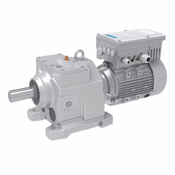 Customized Wear-Resistant Gear Reducer with Overload Protection and CE Certified for Enhanced Motor Efficiency