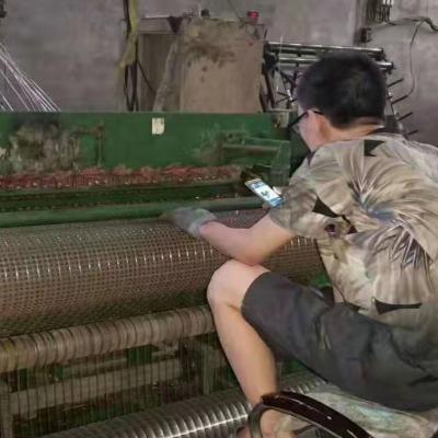 6X6 4ftx8FT Galvanized Welded Wire Mesh Panel and Grills/Welded-Wire-Mesh