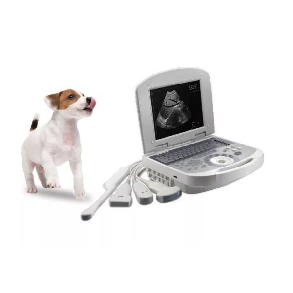 40mm Canine Ultrasound Machine Vaginal Probe Veterinary Medical Supplies Laptop Digital