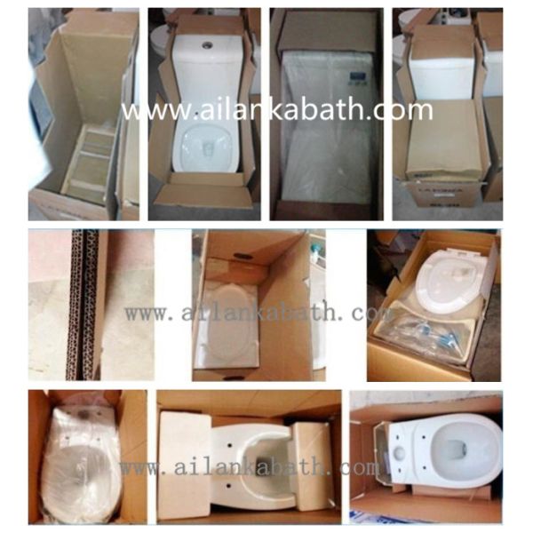 Middle East Bathroom Sanitary Ware Ceramic S-trap250 Roughing-in Washdown One-piece Toilet