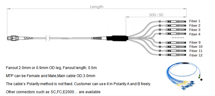 12F MTP OM4 Fiber Optic MTP-LC 2.0mm Straight Harness Cables