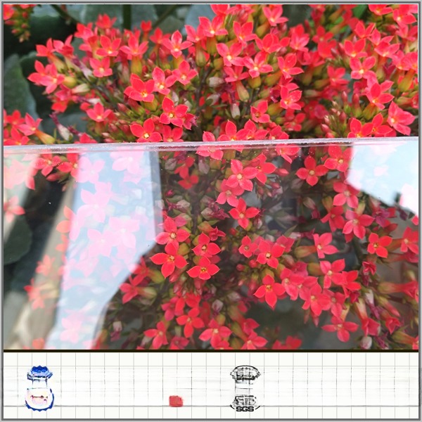 100% Virgin Bayer Foshan Синий ПК твердый лист поликарбонатная крыша звукоизоляция