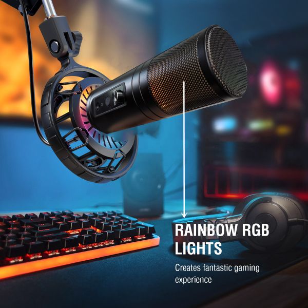 Bidirectional Stereo Cardioid Vocal Desktop 5V USB C Condenser Microphone