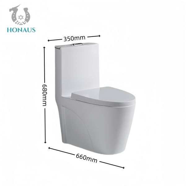 Premium Ceramic One Piece Toilet Bowl Luxury Dual Flush Floor Mounted Hotel House