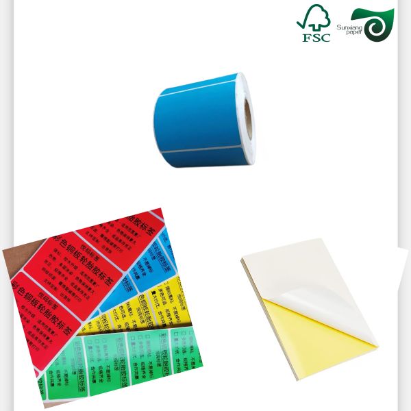 200 microns 230 microns papier synthétique en PET blanc imperméable à l'eau pour les menus de restaurants