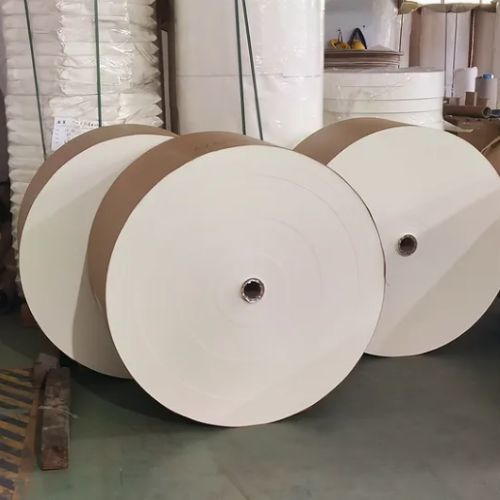 PLA Coated Paper Roll 100% Virgin Wood Pulp Biodegradable Waterproof