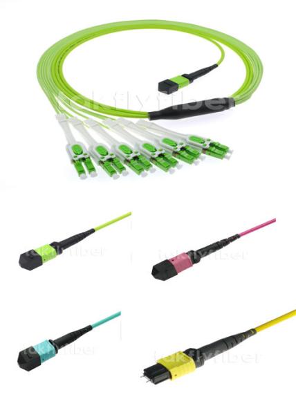 MPO/PC/F-LC/UPC Uniboot Multimode OM5 12F MPO Patch Cord