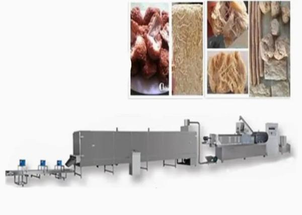 Représentation professionnelle d'écurie de machine d'extrudeuse de nourriture de protéine du soja
