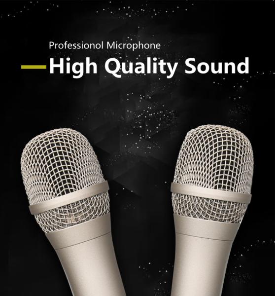 Clear Voice Wired Studio Condenser Microphone 12mv/PA GESTTON