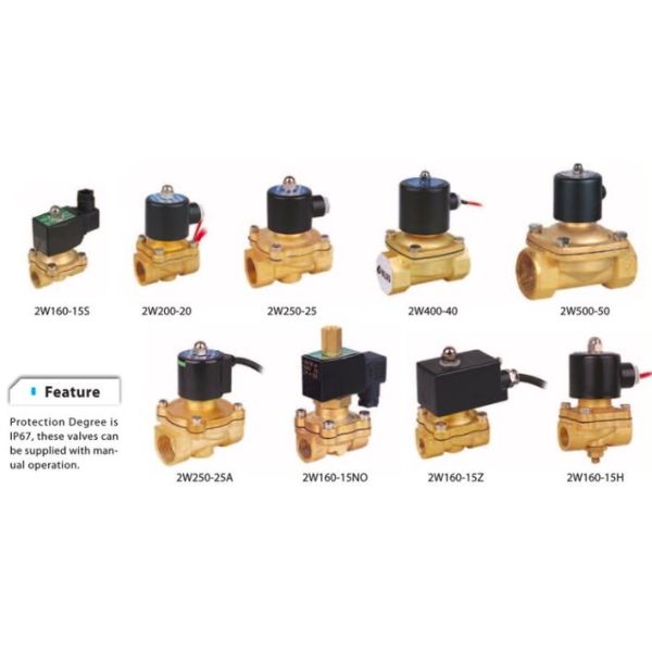 Direct Acting 2 Way 2 Position Solenoid Valve / Steam Solenoid Valve 2W35-35