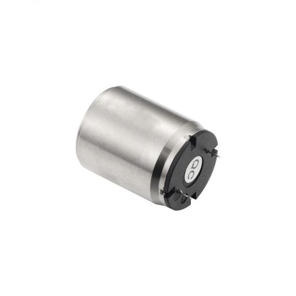 Faradyi 3V 6V 12V Coreless Motor Diameter 16mm 2mNm Brush Motor For Dentistry Industry