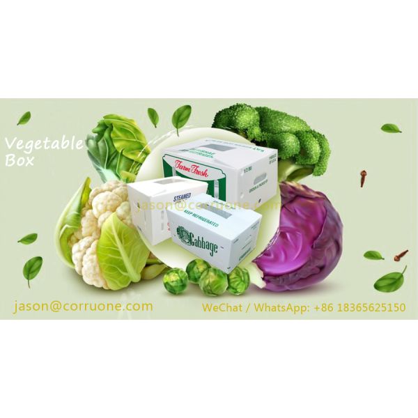 Коробка сота ящиков для хранения Корфлейт брокколи рифленая для плодов