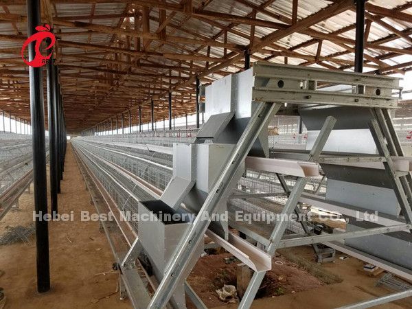Тип автоматическая система клетки сельского хозяйства птицы для слоев играет главные роли