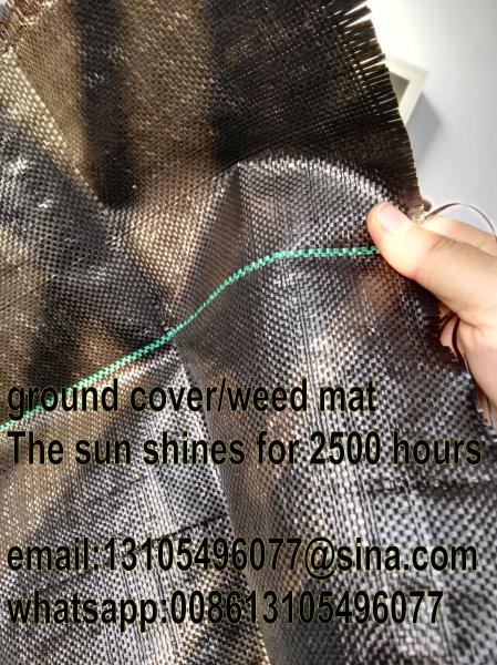2016 high quality Woven geotextile/ PP weed control mat/Landscaping mats