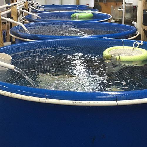 6000l Water Storage Tank Bag Bladders Water Tank