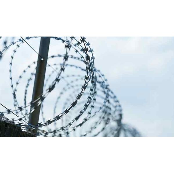54-56 Loops Coiled Razor Barbed Wire With Steel Tape Sharp Edged Blades