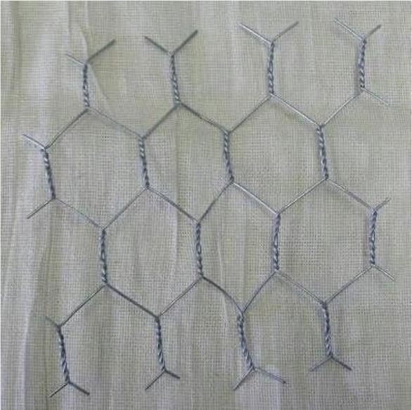 Chicken Hexagonal Wire Mesh PVC Coated Galvanized Gabion Box Iron Wire Material