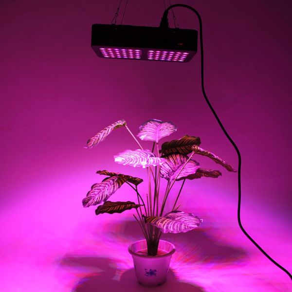 Mirrors Bright LED Indoor Grow Lights 1200 Watt 50/60 Hz 300×195×60 Mm