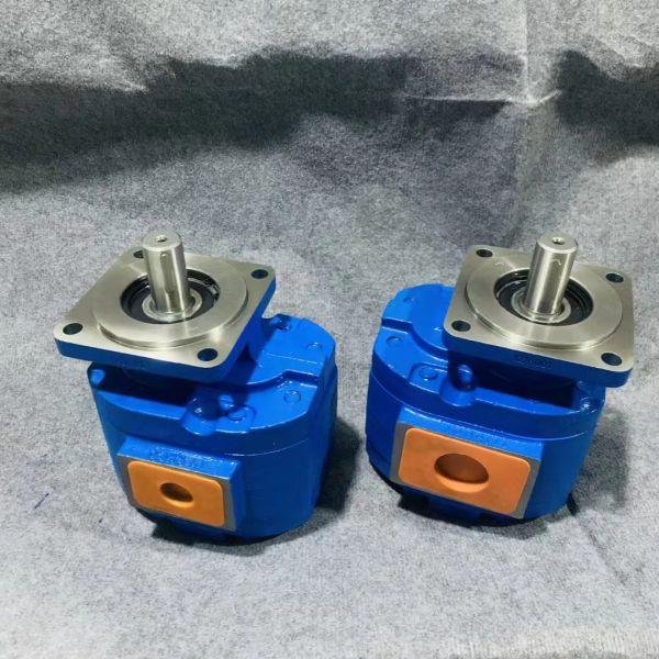 Gear oil pump Gear pumpP5100-F100NP3676/P124-G16Y03G P5100-F100NP3676/P124-G16Y18G P5100-F100NP3676/P124-G25G P5100-F100NP3676G factory