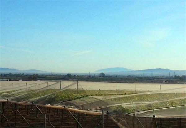 Agriculture Horticulture Vegetable Science, Crop-Protection-Net, Pest Management, Anti-Insect And Hail Nets Manufacture