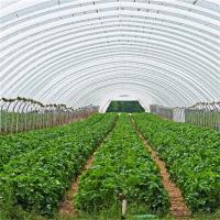 Agricultura da estufa do período do túnel hidropônico do quadro do metal única que cultiva o crescimento