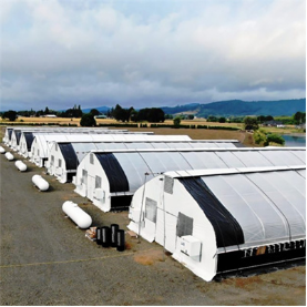 Сельскохозяйственный одноразовый пленка гидропонический туннель Авто Light Dep Solutions Теплица